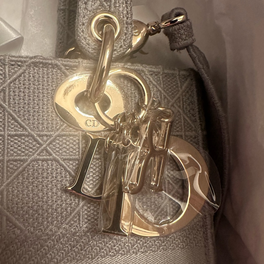 Dior Gray Tote Bag - Picture 4 of 9